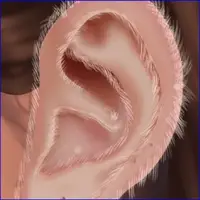 ASMR Makeover Beauty Salon play large gif